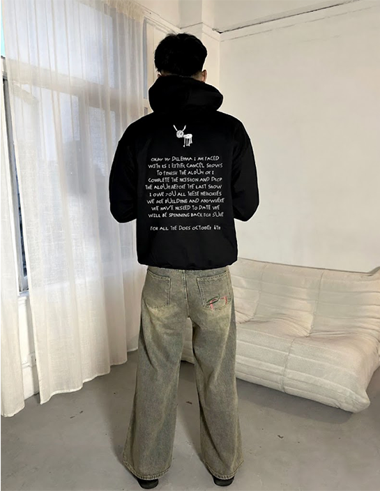 drake for all dogs v2 hoodie